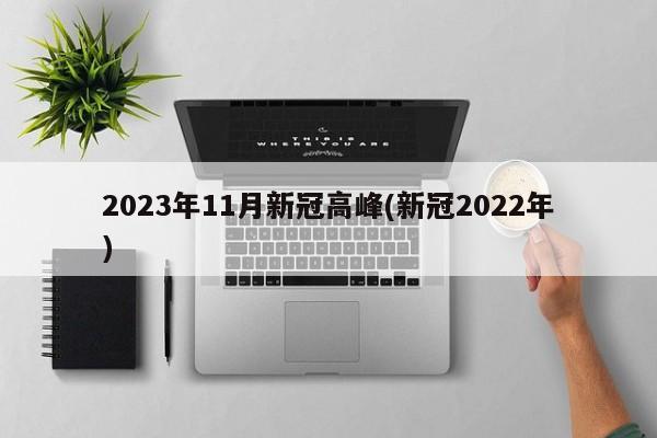 2023年11月新冠高峰(新冠2022年)